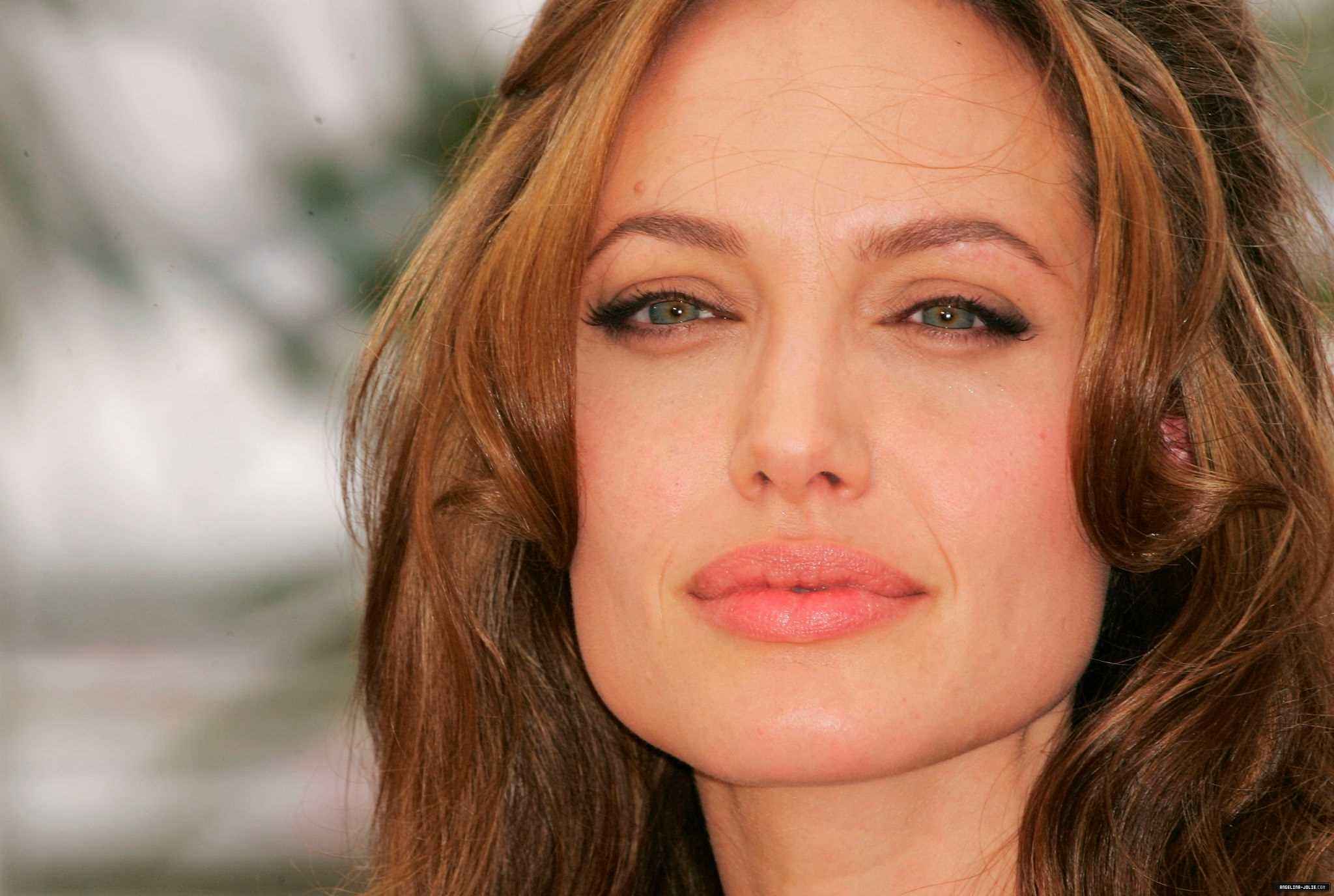 Анджелина Джоли 2007